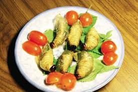 ハノイの「ゲテモノ」屋さん